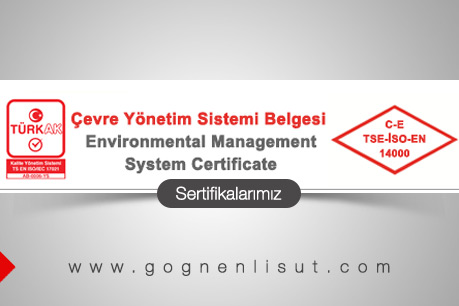Certificate 6