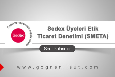 Certificate 4